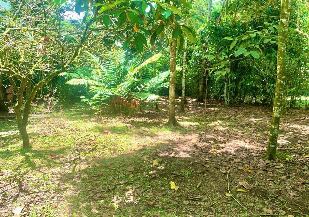 Waterfall Road La Fortuna