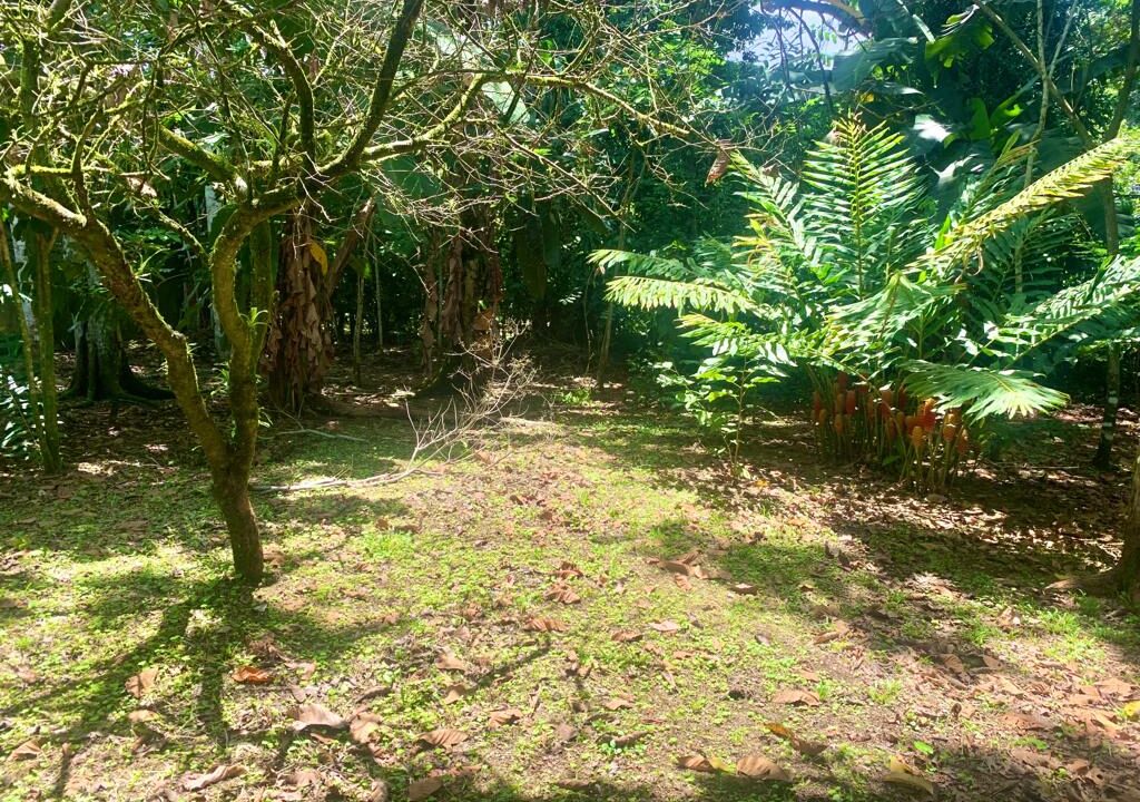 Waterfall Road La Fortuna