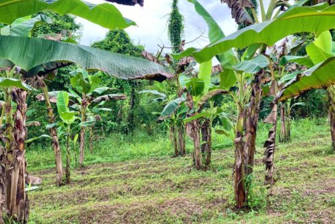 La fortuna real estate costa rica land for sale arenal volcano