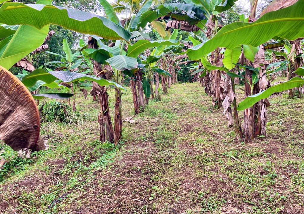 La fortuna real estate costa rica land for sale arenal volcano