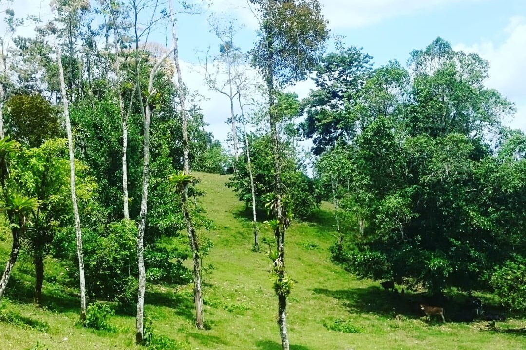 Agua Azul La Fortuna