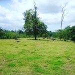Agua Azul land for sale with river la fortuna costa rica real estate hot spring arenal volcano