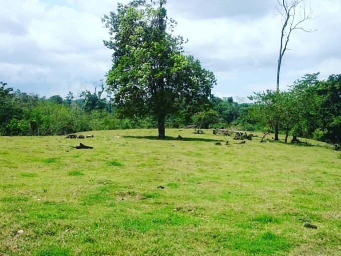 Agua Azul land for sale with river la fortuna costa rica real estate hot spring arenal volcano