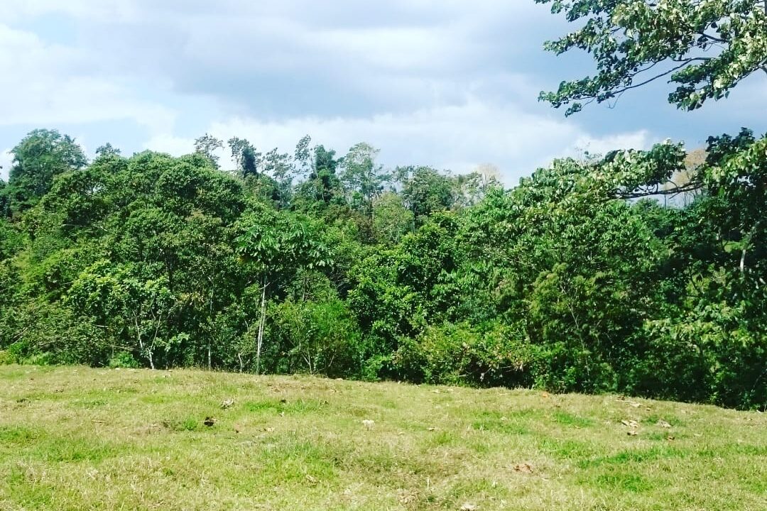 Agua Azul La Fortuna