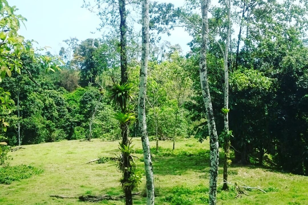 Agua Azul La Fortuna