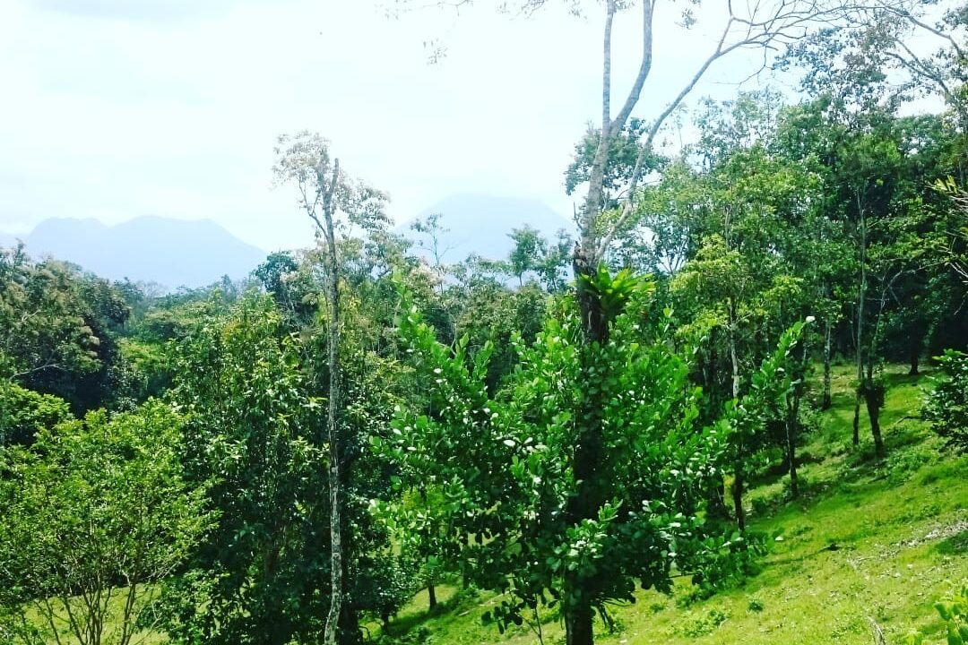 Agua Azul La Fortuna