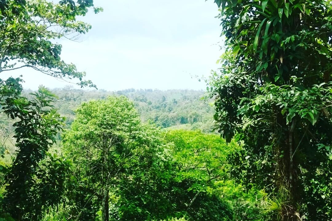 Agua Azul La Fortuna