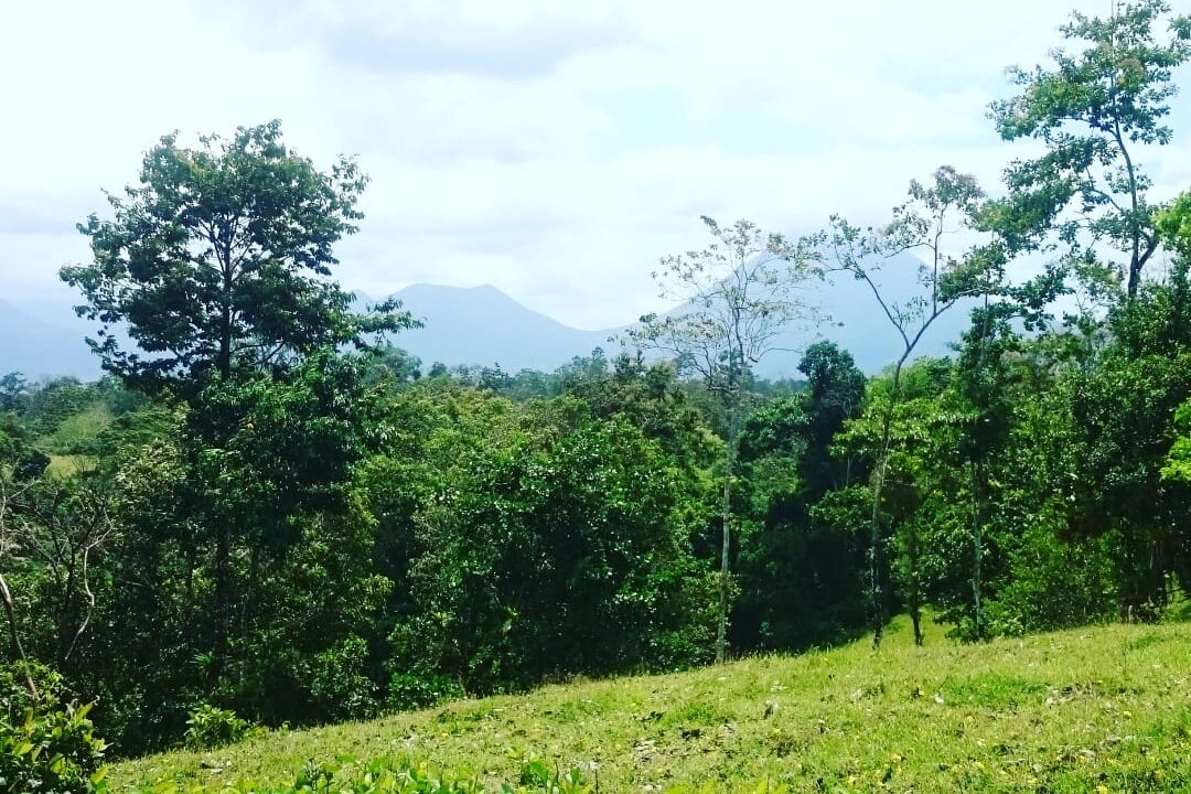 Agua Azul La Fortuna