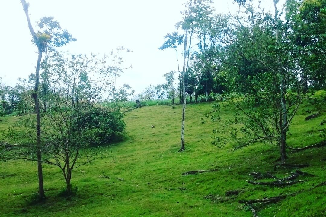Agua Azul land for sale with river la fortuna costa rica real estate hot spring arenal volcano