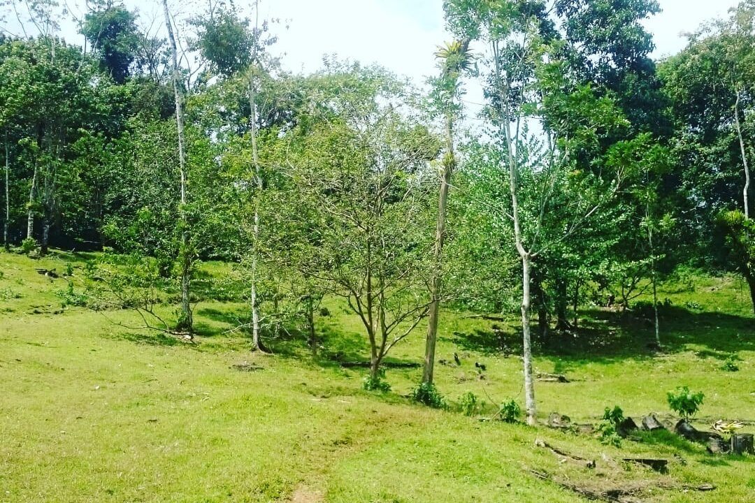 Agua Azul land for sale with river la fortuna costa rica real estate hot spring arenal volcano