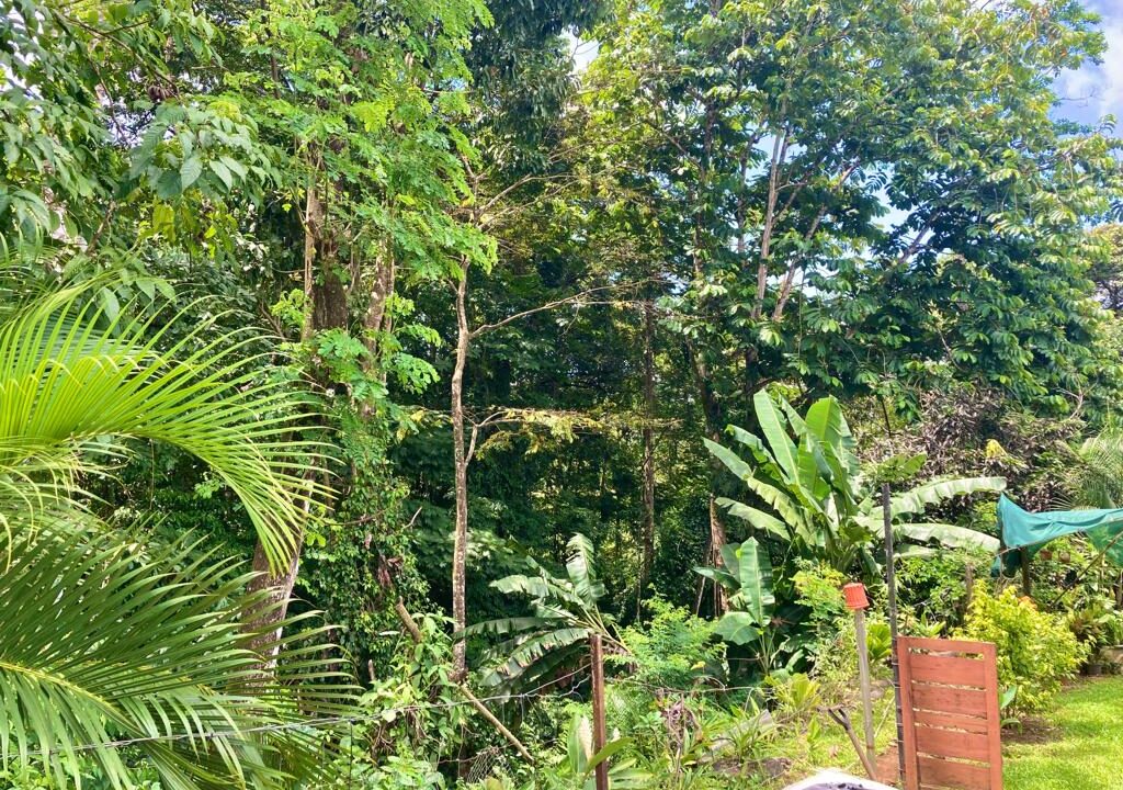 Tres Esquinas La Fortuna