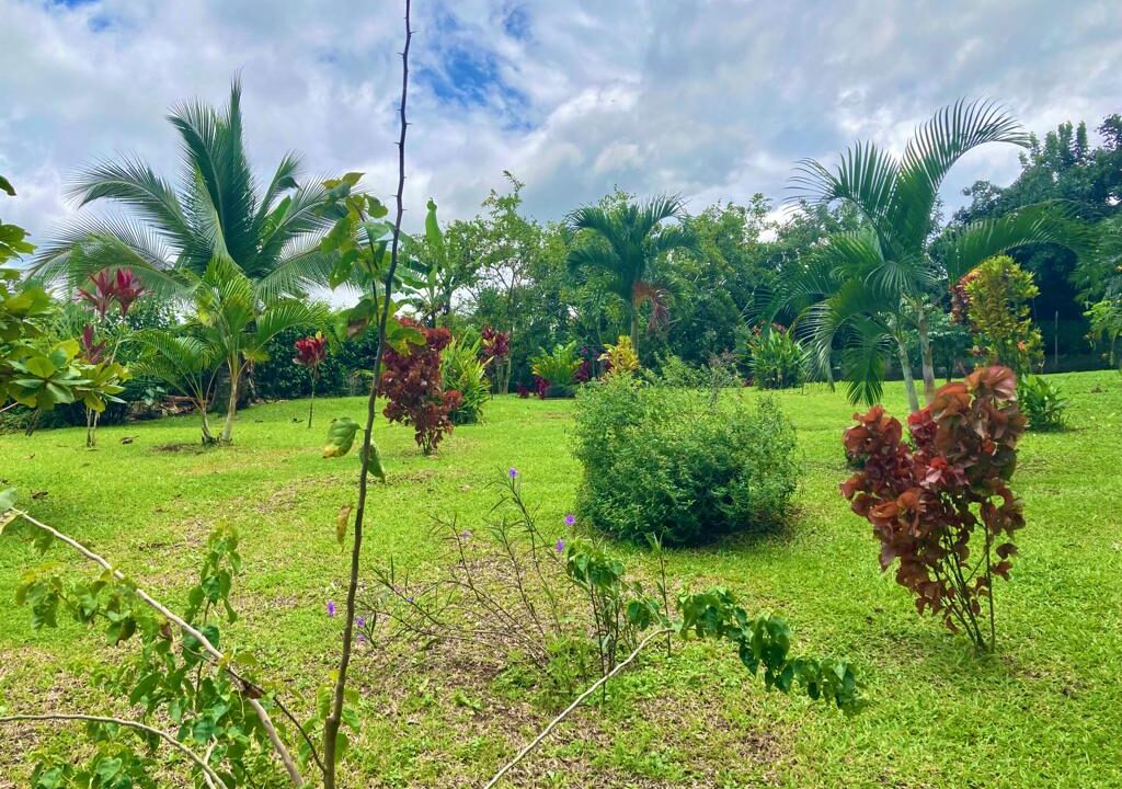 Tres Esquinas La Fortuna