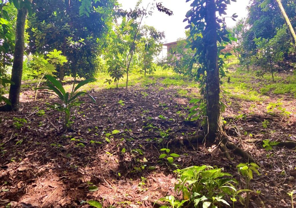 la fortuna hot spring costa rica real estate land for sale real estate arenal volcano