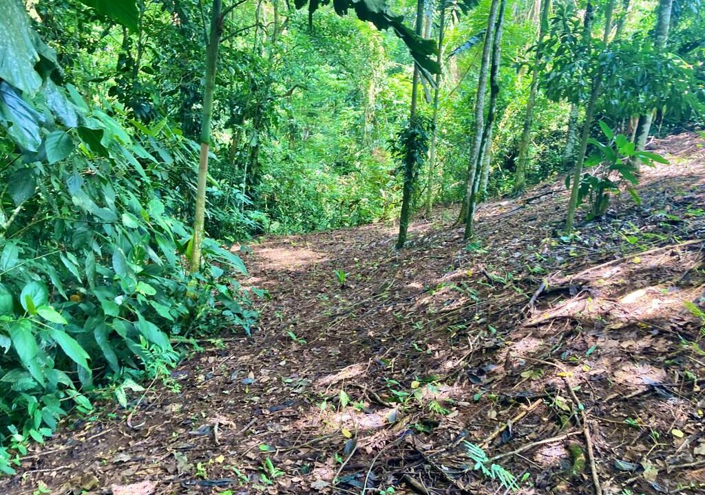 property house sale with river la fortuna costa rica real estate hot spring arenal volcano