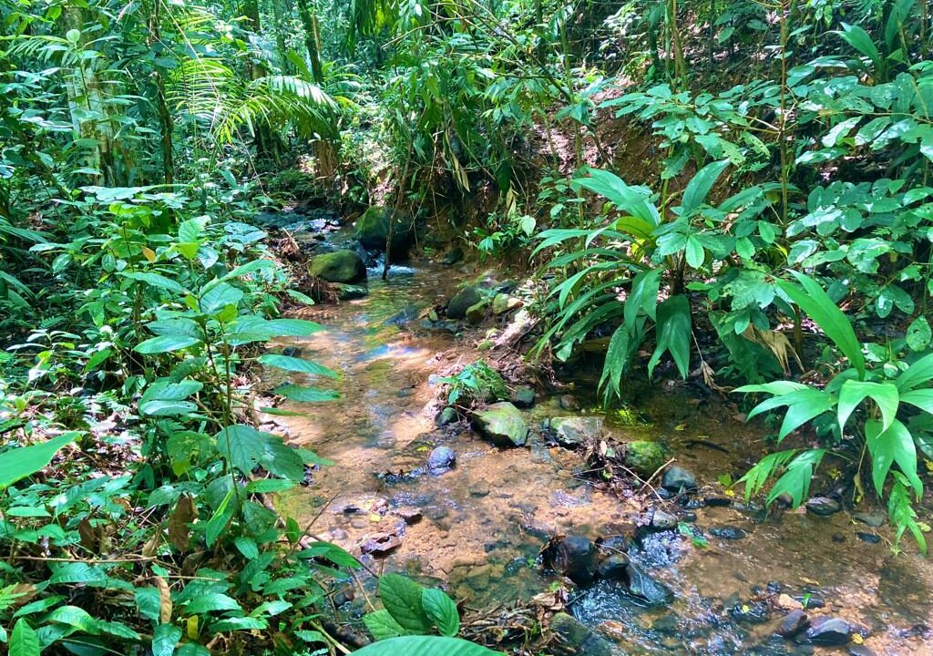 property house sale with river la fortuna costa rica real estate hot spring arenal volcano