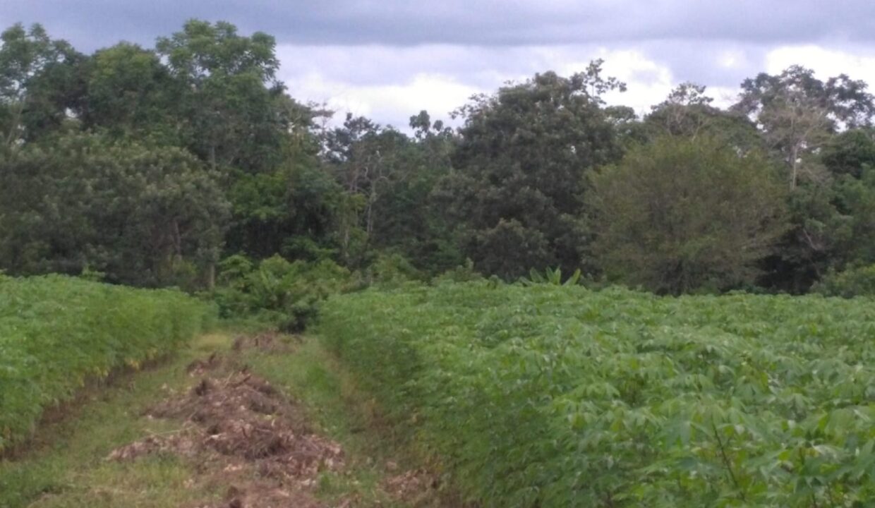 Chachagua La Fortuna
