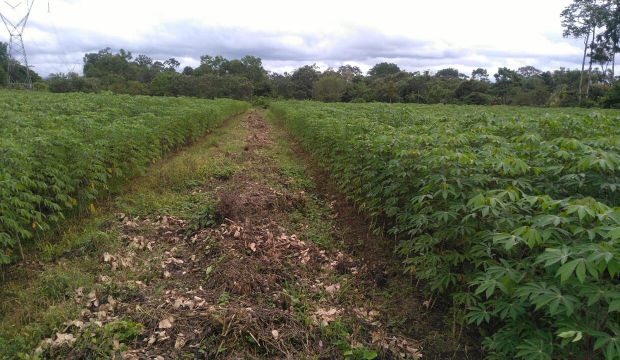 Chachagua La Fortuna
