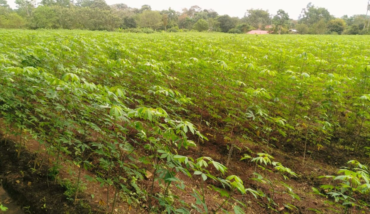 WhatsApp Image 2023-09-18 at 4.42.32 PM (3)