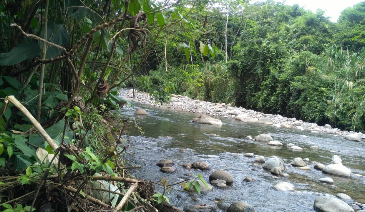 Chachagua River La Fortuna