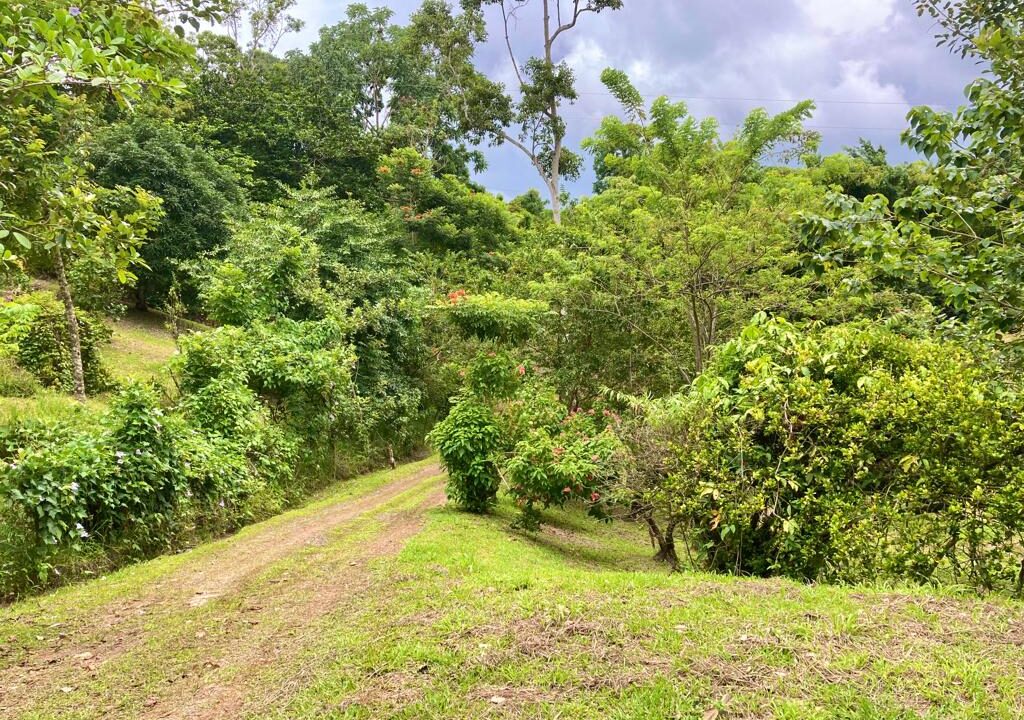 Monterrey La Fortuna