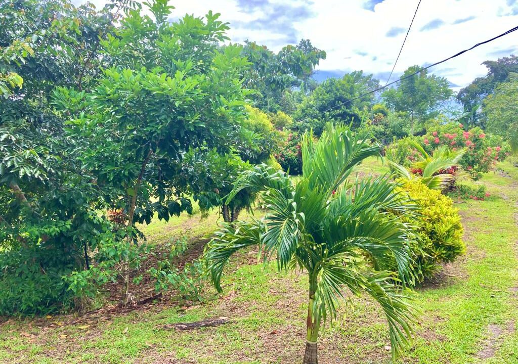 Monterrey La Fortuna