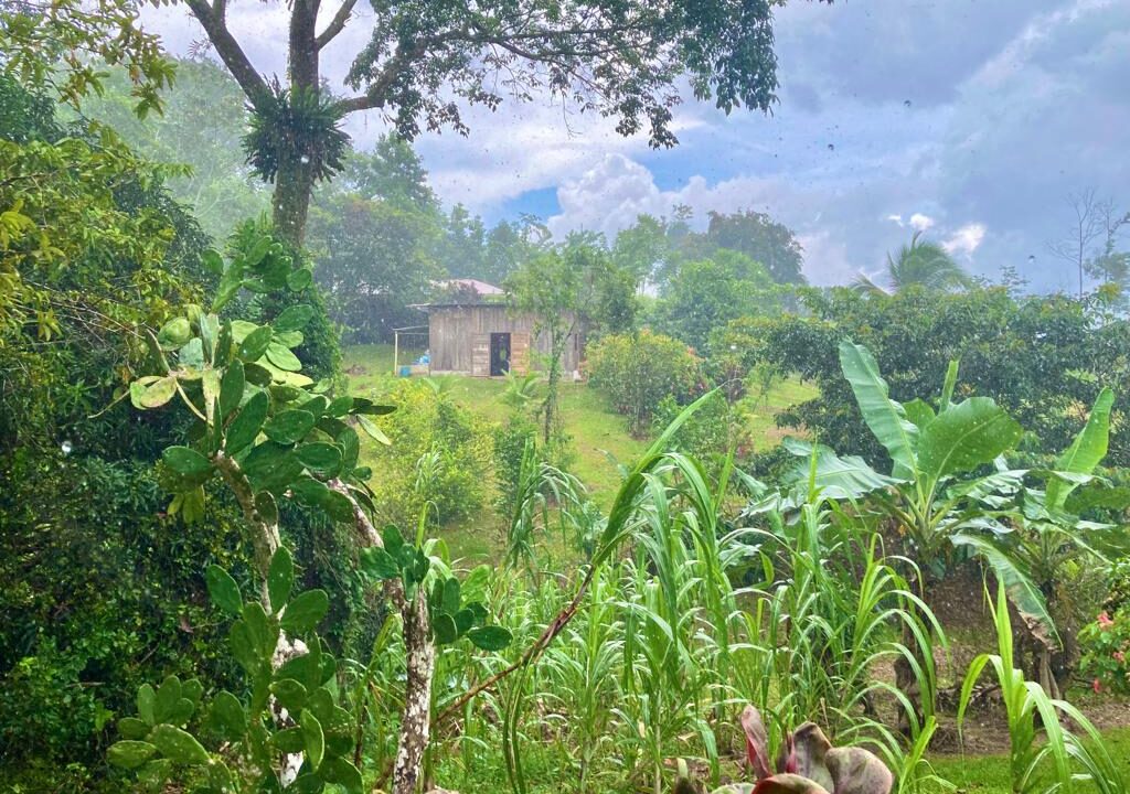 Monterrey La Fortuna