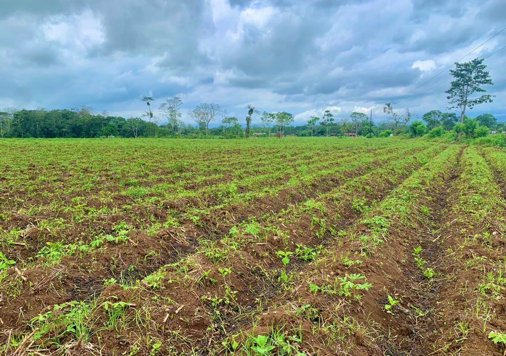 Tres Esquinas La Fortuna large land for sale real estate la fortuna costa rica arenal volcano