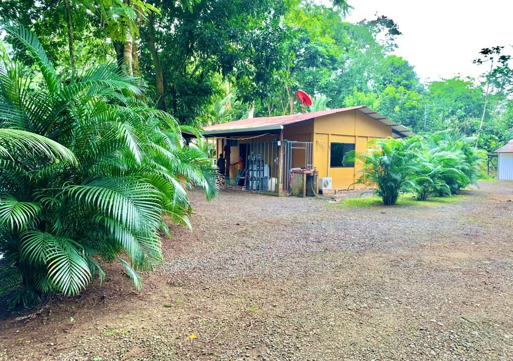 Los Angeles retreat la fortuna costa rica real estate property for sale bird paradise pond