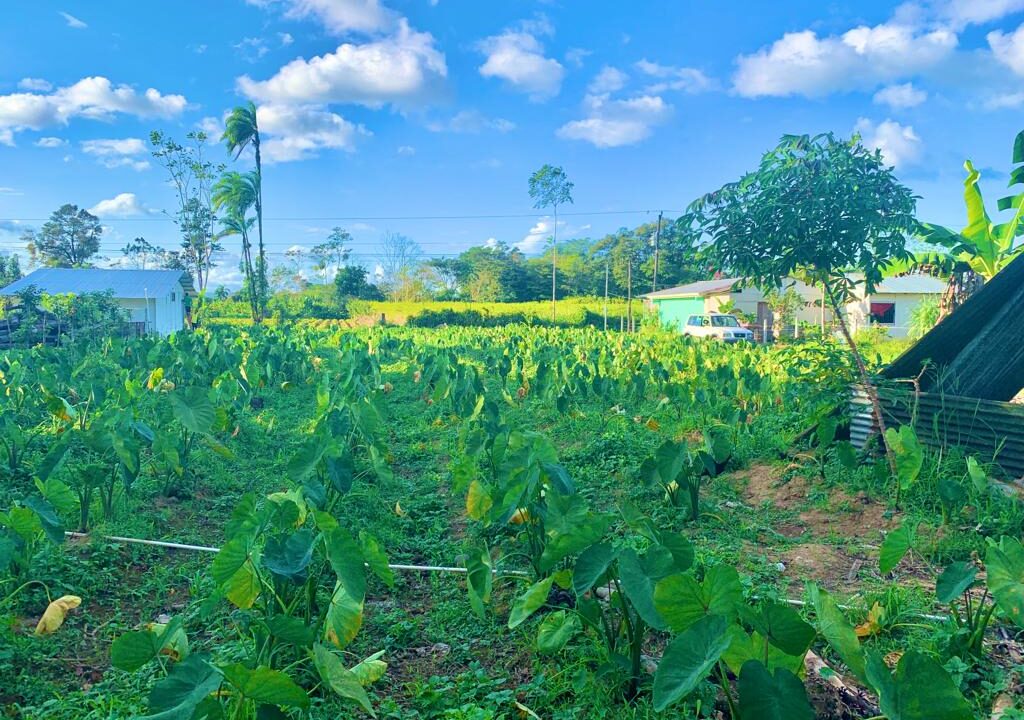 la fortuna hot spring costa rica real estate land for sale real estate with river