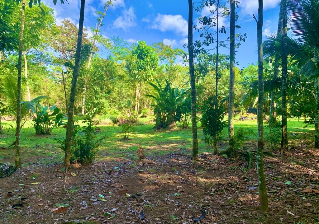 la fortuna hot spring costa rica real estate land for sale real estate with river