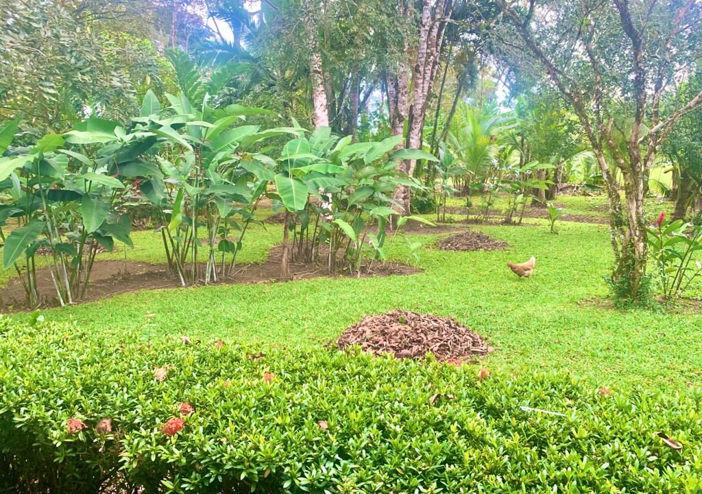 La Tigra Real estate land with river costa rica real estate