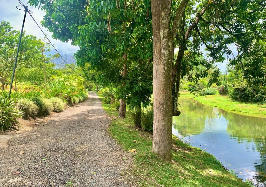 La Fortuna income property real estate arenal volcano hot spring costa rica airbnb