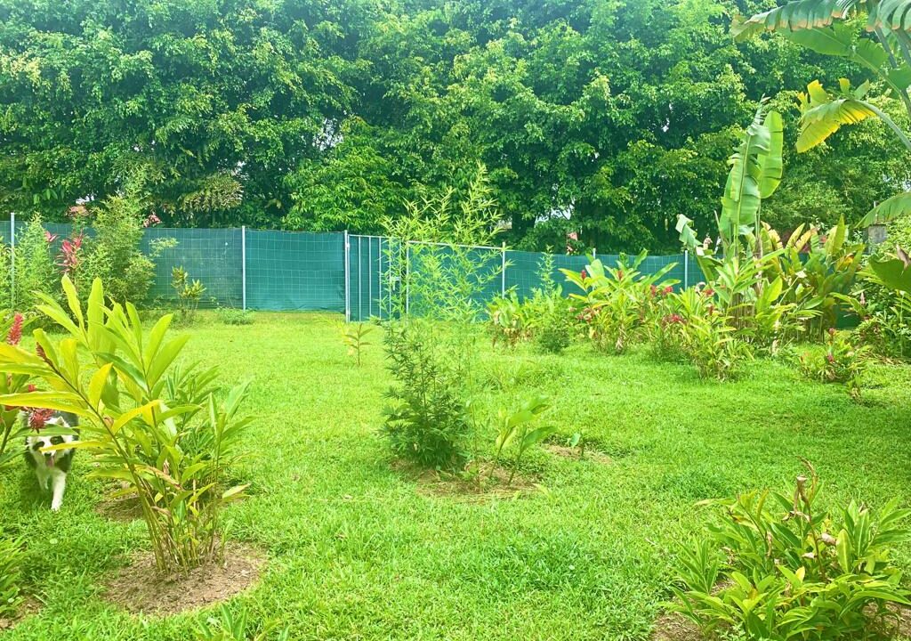 La Fortuna Waterfall Road Income Property Luxury Real Estate AirBnB for sale Costa Rica