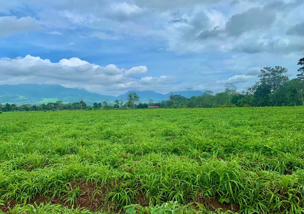 large land for sale real estate la fortuna costa rica arenal volcano