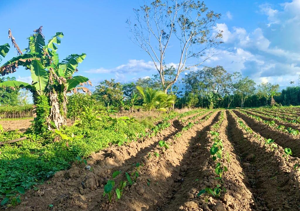 la fortuna hot spring costa rica real estate land for sale real estate with river