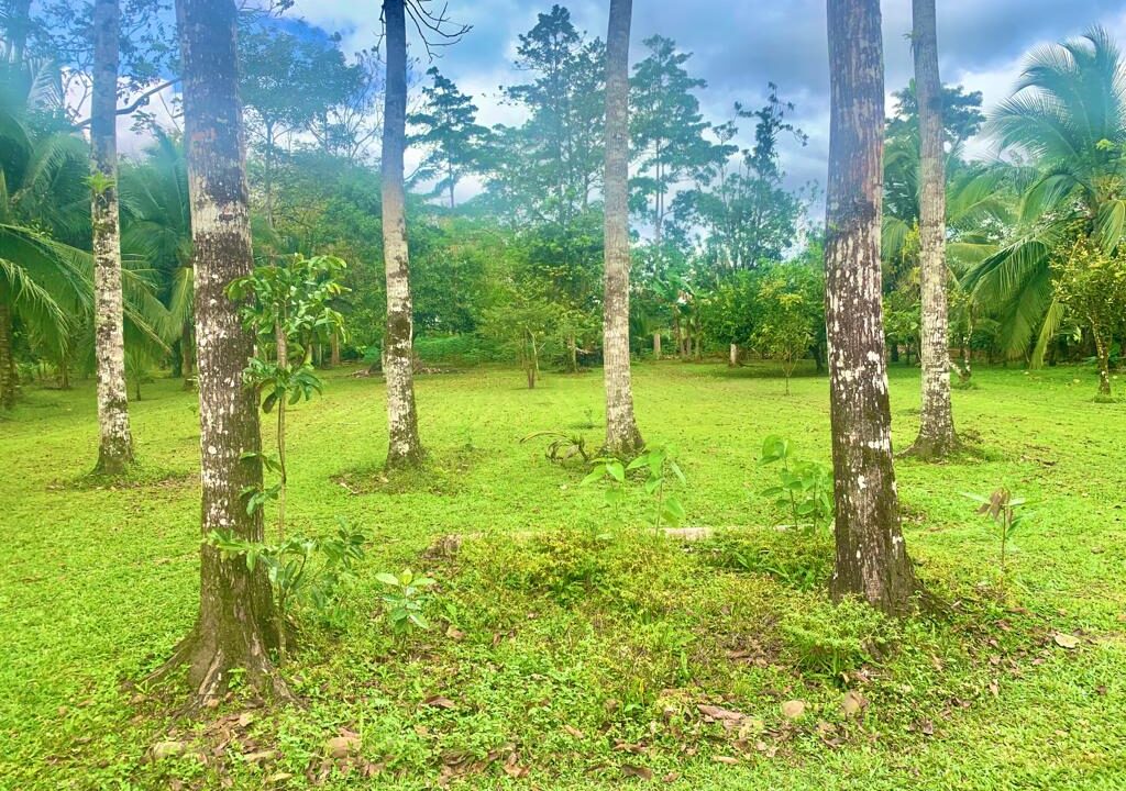 San Isidro La Fortuna hot spring Real Estate For Sale Costa Rican