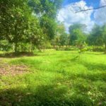 Los Angeles San Carlos Lot la fortuna land for sale real estate costa rica