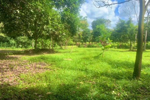 Los Angeles San Carlos Lot la fortuna land for sale real estate costa rica