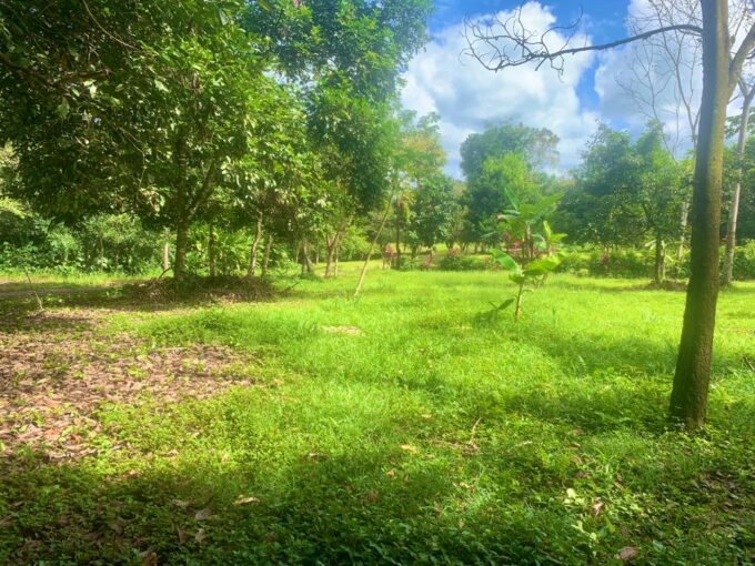 Los Angeles San Carlos Lot la fortuna land for sale real estate costa rica