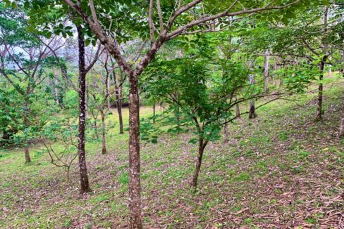 La Fortuna Penas blancas land for sale raw land costa rica