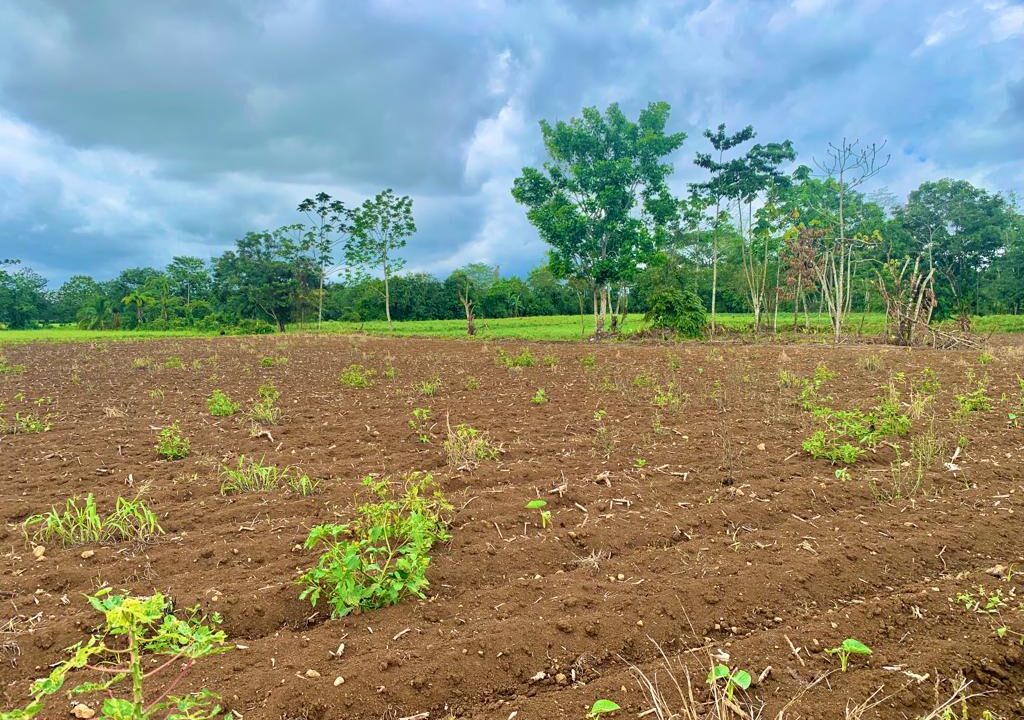 large land for sale real estate la fortuna costa rica arenal volcano