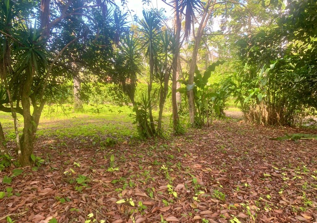 Los Angeles Lot la fortuna land for sale real estate costa rica