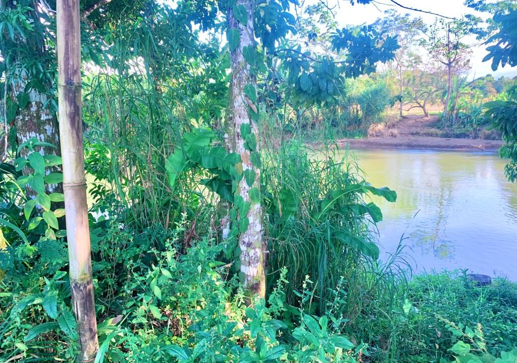 la fortuna hot spring costa rica real estate land for sale real estate with river