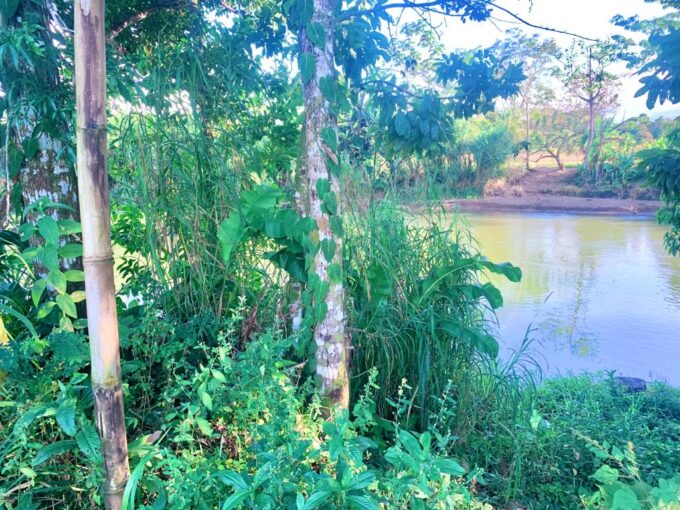 la fortuna hot spring costa rica real estate land for sale real estate with river