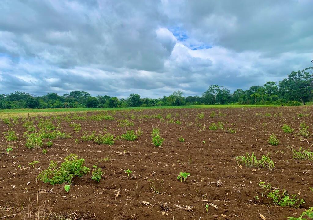 large land for sale real estate la fortuna costa rica arenal volcano