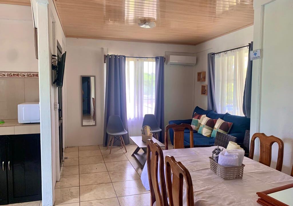 La Fortuna income property real estate arenal volcano hot spring costa rica airbnb