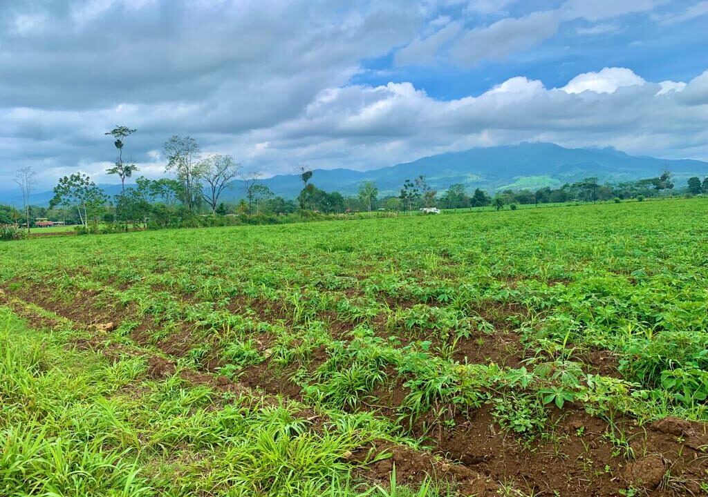 large land for sale real estate la fortuna costa rica arenal volcano