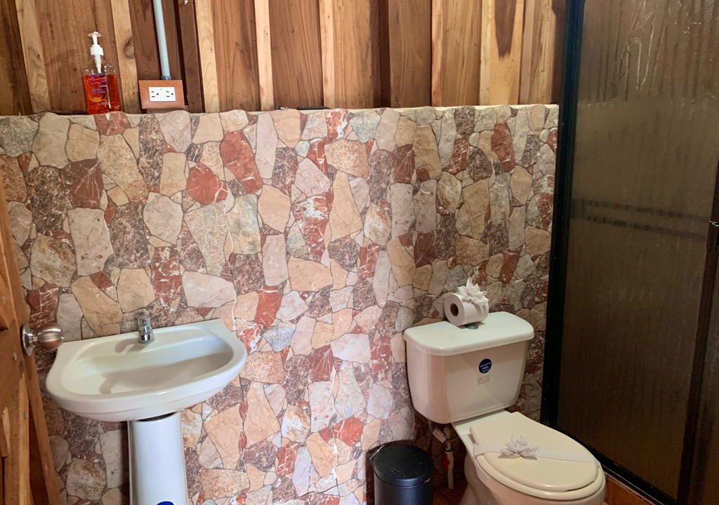 Los Angeles retreat la fortuna costa rica real estate property for sale bird paradise pond