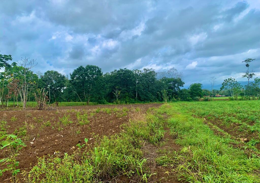 large land for sale real estate la fortuna costa rica arenal volcano