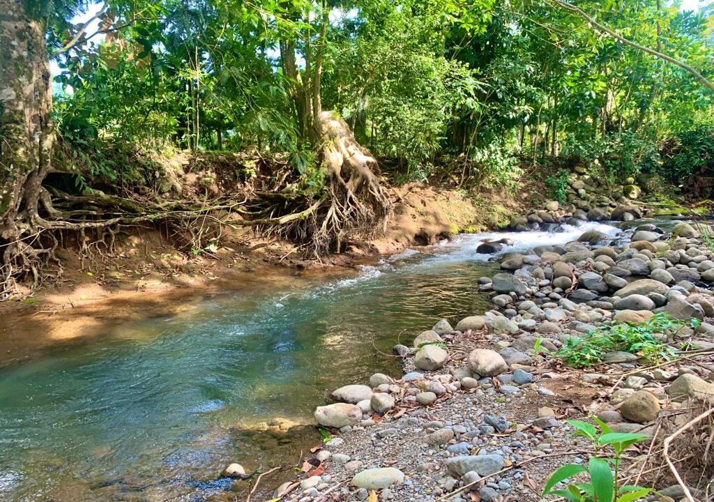 la fortuna hot spring costa rica real estate land for sale real estate with river
